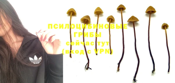 молекула духа Алексин