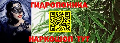 шишки Конаково