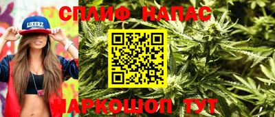 шишки Конаково