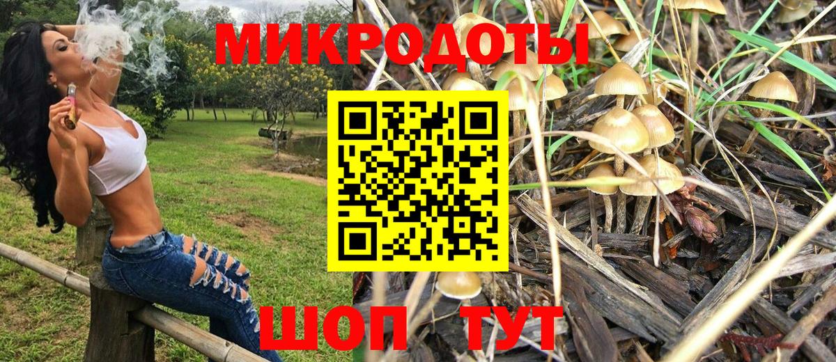 Псилоцибиновые грибы Psilocybine cubensis Лысьва